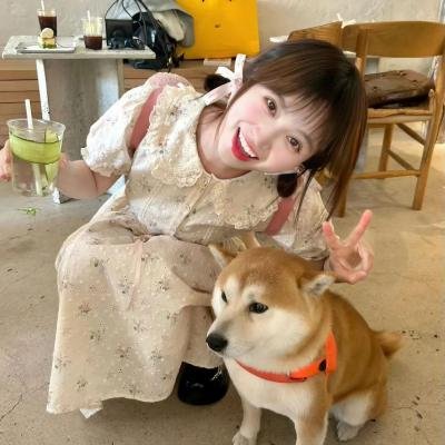 红纸鹤
